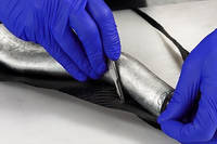 Laminating the Components