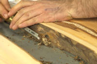 Preparing and stabilising the wood